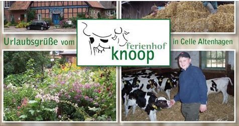 Ferienhof Knoop
