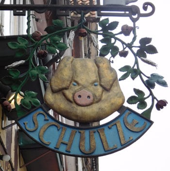 Schweine-Schulze