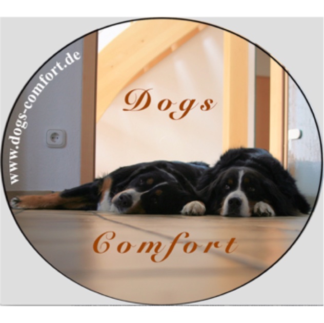Dogs Comfort
