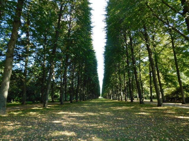Französischer Garten