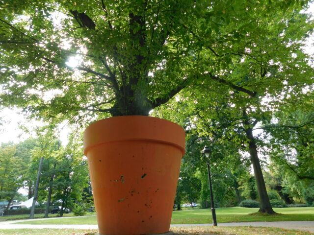 Blumentopf