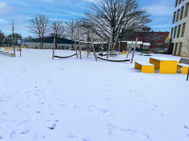 Allerauenpark