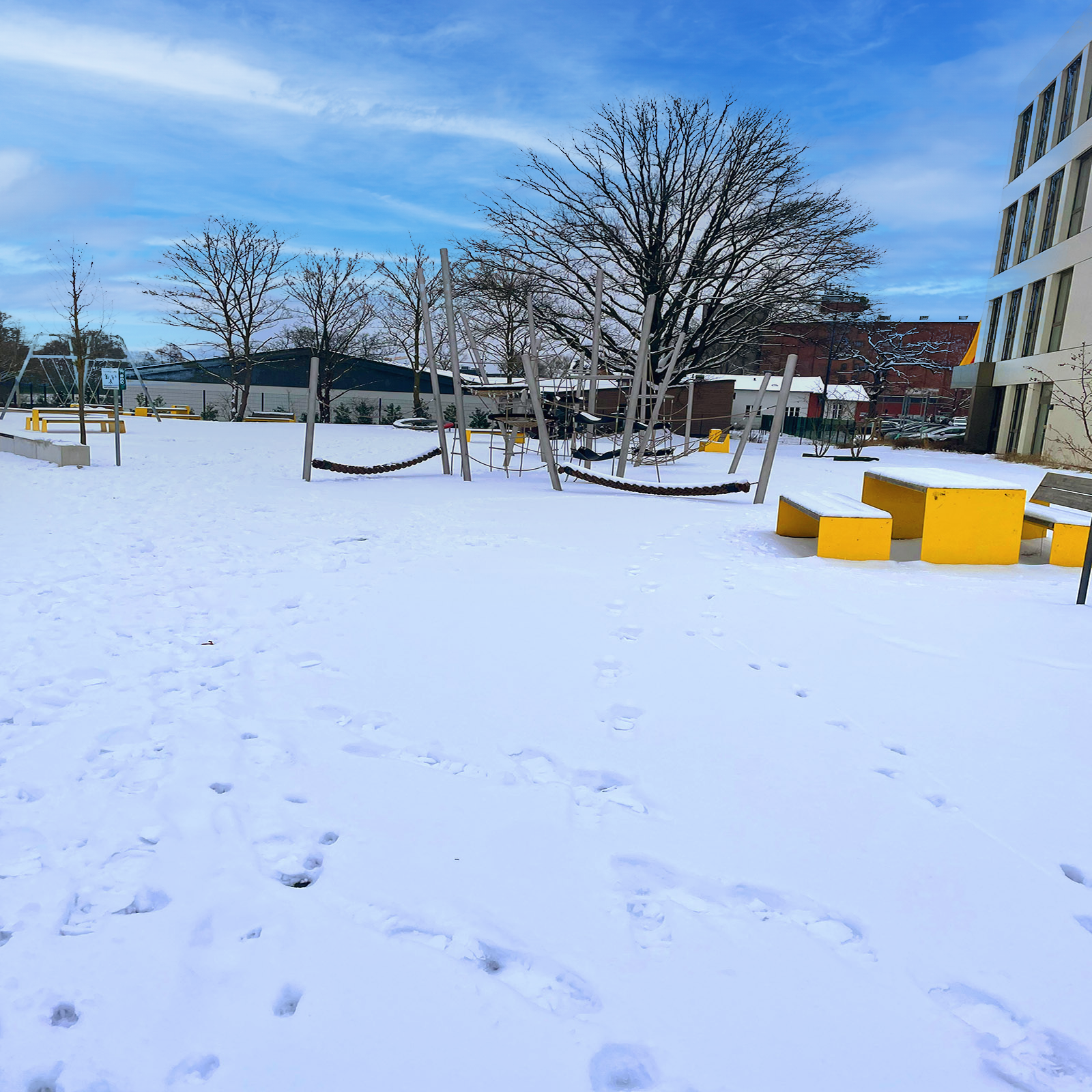 Allerauenpark